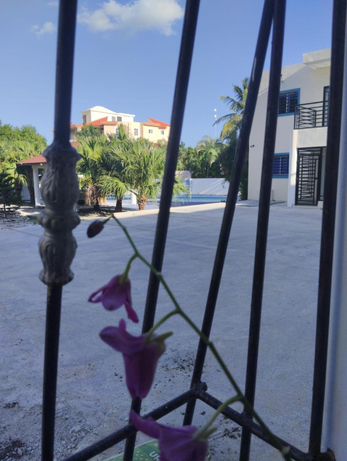 Nely Y Pietro Share Apartment 蓬塔卡纳 外观 照片